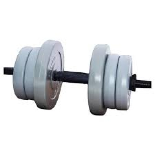 Купити Гантель  RN-Sport 11 кг Gray c ABS покриттям у Києві - фото №1
